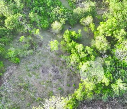 16.5 Are, Land for Sale