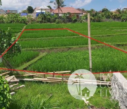5 Are, Land for lease