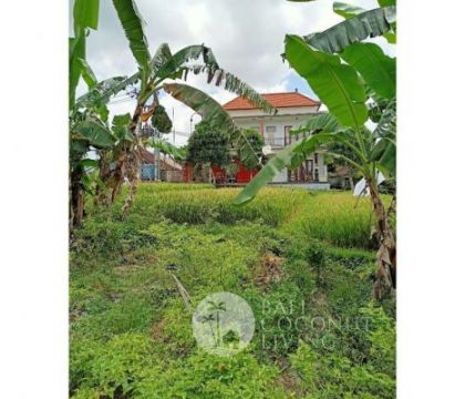 619 Sqm, Land for sale