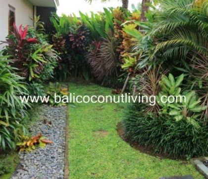 Villa Mata Berawa