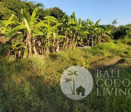 Land for sale, 6 are