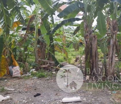 For lease, Land 19,50 are