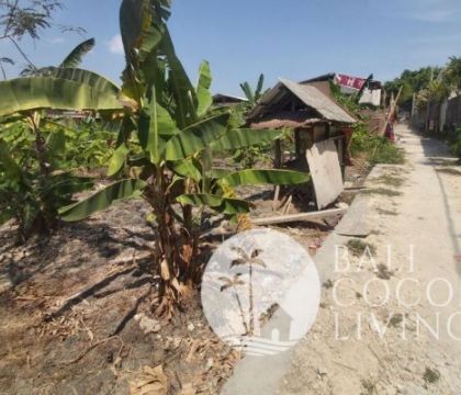 Land for sale 2 are 
