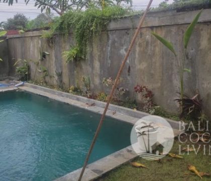 Villa Puri