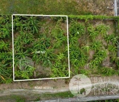 2,4 Are for sale, Land
