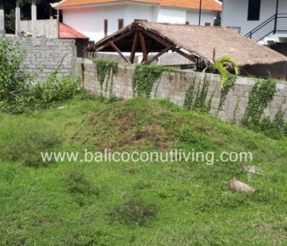 Land for lease 4 are