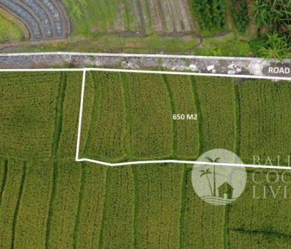 3,5 Are Land for sale