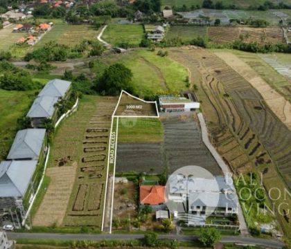 For lease, 10 Are land