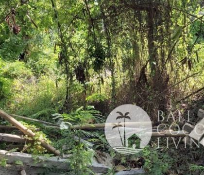 Land for sale, 300 sqm
