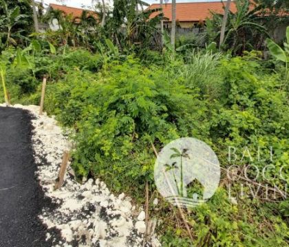 4 Are land for sale