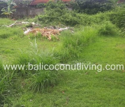 Land For Lease Umalas 3 are 