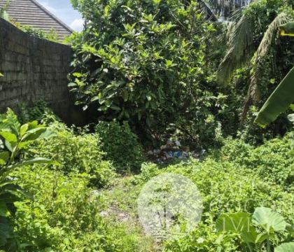Land For Lease 459 Sqm 