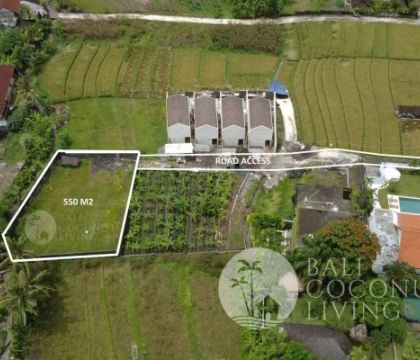 For sale, 550 sqm Land