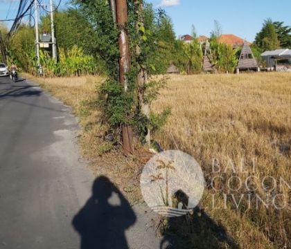 800 Sqm, Land for lease