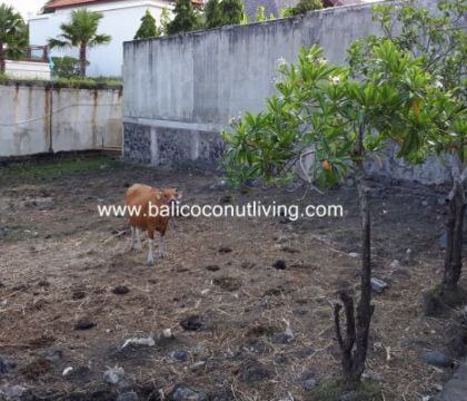 Land for sale 11 are