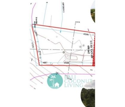 Land 300 sqm, For lease