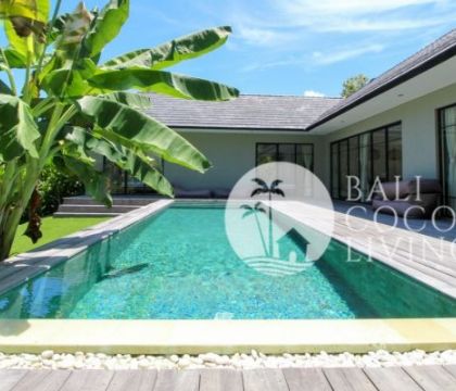 Villa Pinus
