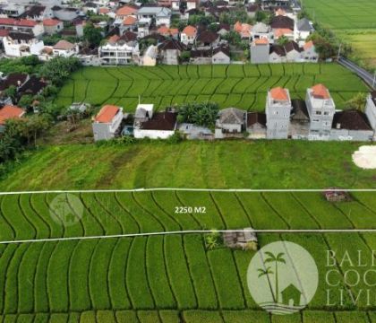 2250 Sqm, Land for lease