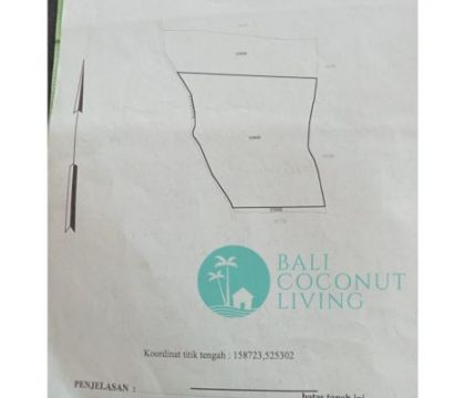 300 Sqm, Land for lease