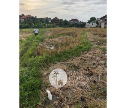 37,45 Are, Land for Lease