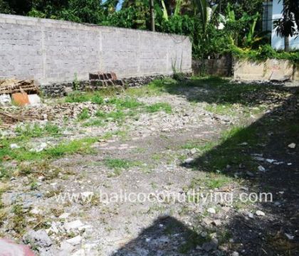 Land for lease 3 are
