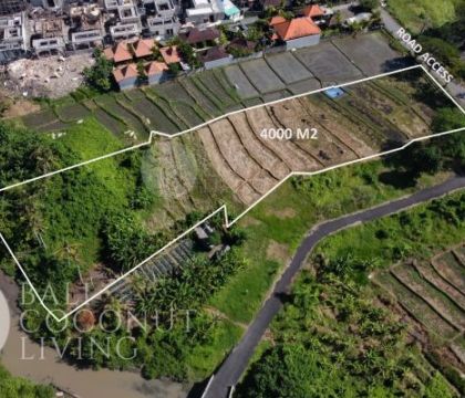 40 Are, Land for rent