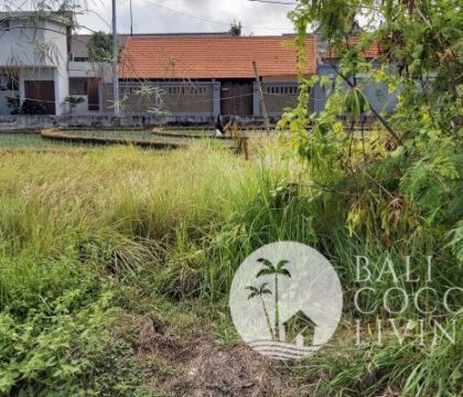 Land for lease 750 sqm