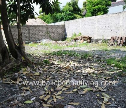 Land for lease 3 are