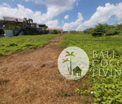 For lease 10 are land