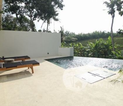  Villa Jungle 1