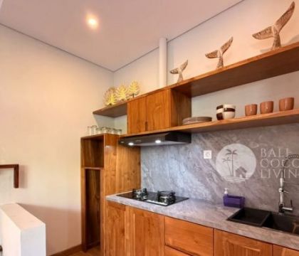 Rustic Star Villa 23