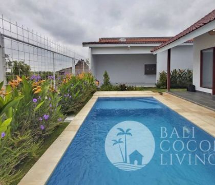 Villa Safiya