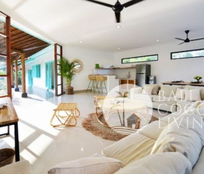 Owl Villa