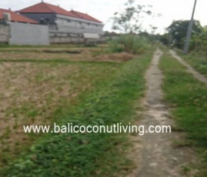 Land For Lease Berawa 2500 sqm