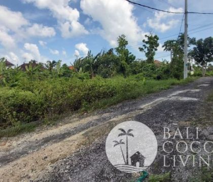 Land for lease 3 are Berawa