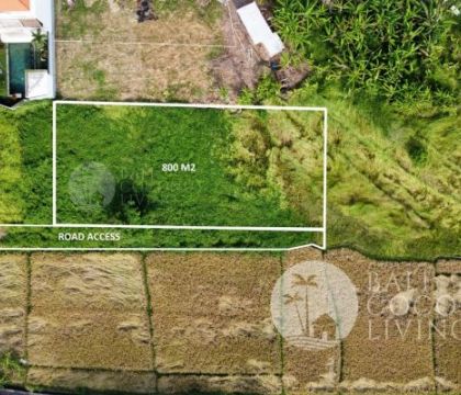 For rent, 8 are Land