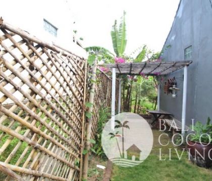 Rumah Auro