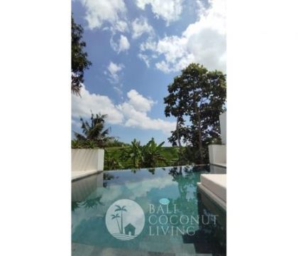 Villa Jungle 2