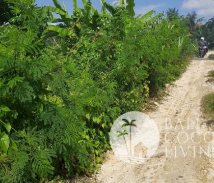 6 Are, Land For Sale