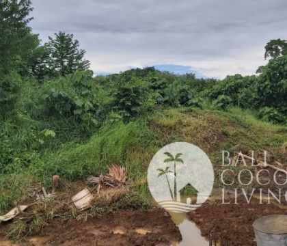 Land for sale 22 are