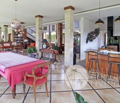 Villa Janika