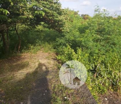 1,85 are, Land for sale