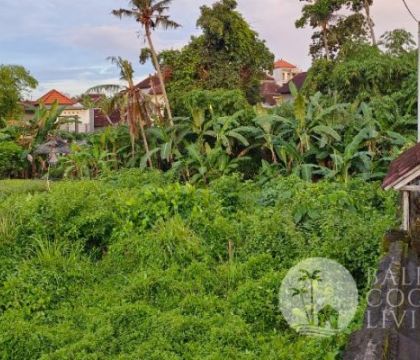 685 Sqm, Land for lease