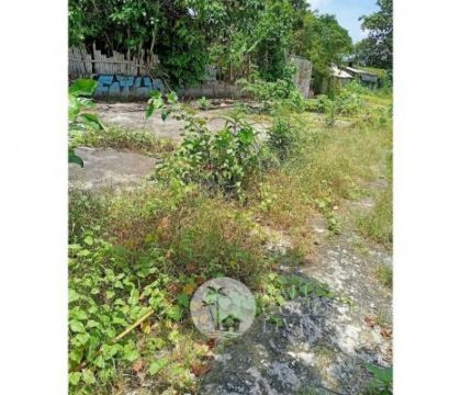 Land, 10 are for lease