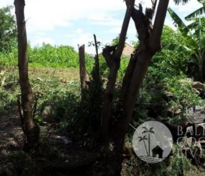 150 Sqm, Land for sale