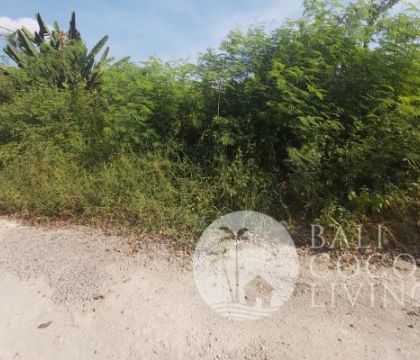 1430 Sqm, Land for rent