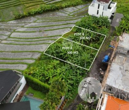 2  Units 3 Are land, For sale