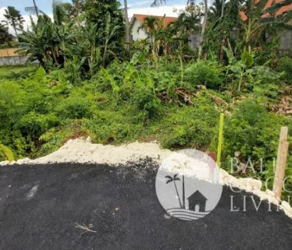 Land 3 are for sale