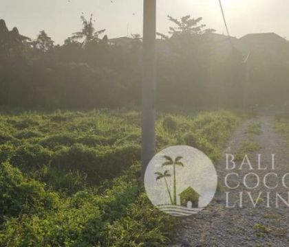 Land for lease, 20 are