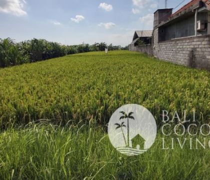 6 Are, Land for rent